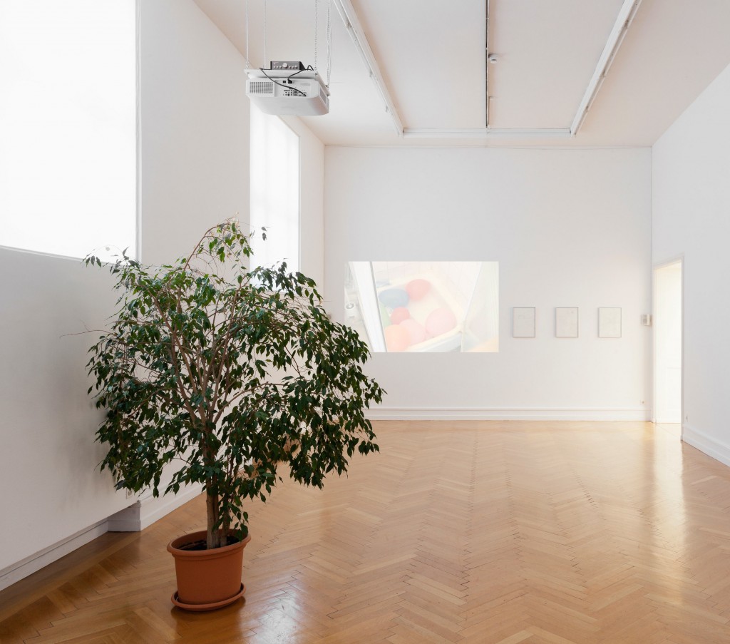 Installation view: …Revelry, Kunsthalle Bern