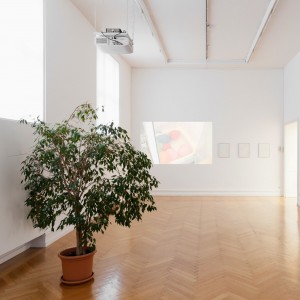 Installation view: …Revelry, Kunsthalle Bern