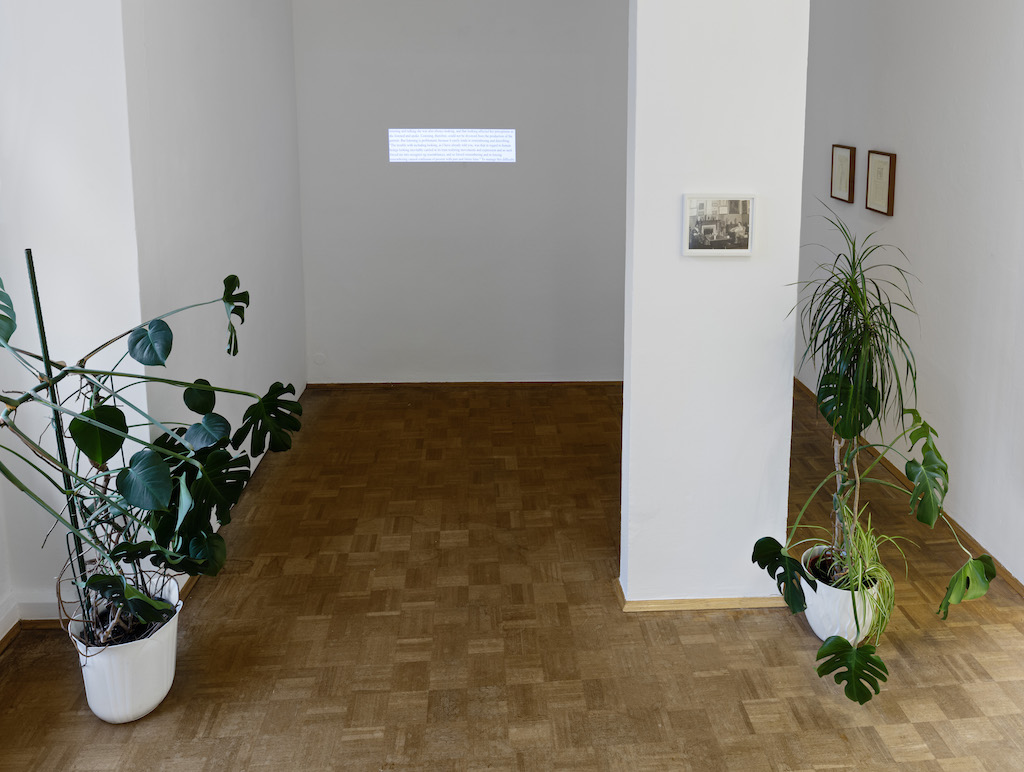 Installation view: »Transparencies«, Bielefelder Kunstverein, Bielefeld, 07.11.15—17.01.16