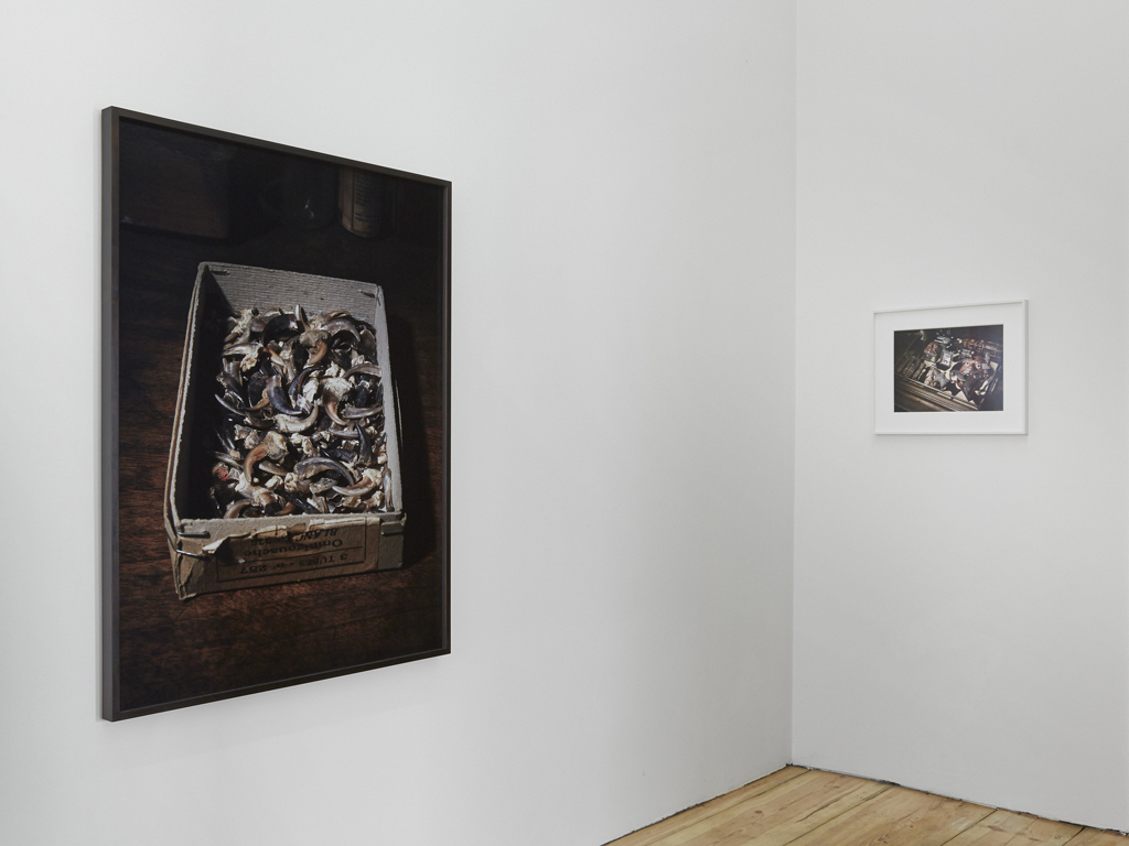 Inside Carol Rama, photographs by Bepi Ghiotti, Installation view, Eden Eden, Berlin, 09.02.16—05.03.16