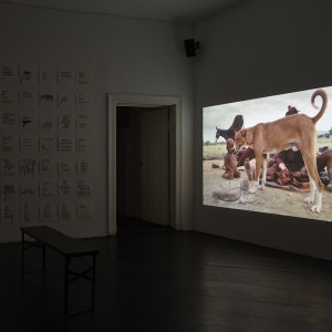 Steve Reinke, »The Genital is Superfluous«, installation view, Galerie Isabella Bortolozzi, Berlin, 12.02.16-09.04.16