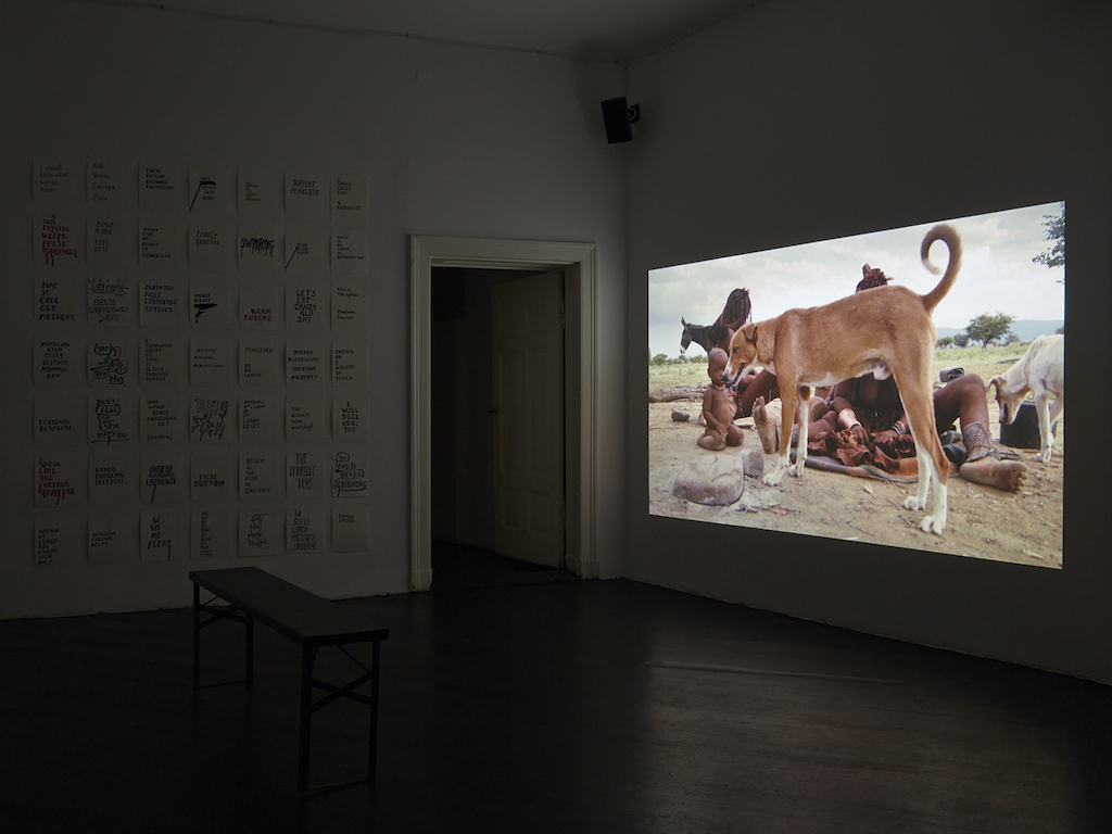 Steve Reinke, »The Genital is Superfluous«, installation view, <br>Galerie Isabella Bortolozzi, Berlin, 12.02.16-09.04.16<br/>