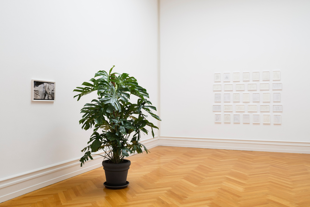 Juliette Blightman, »Extimacy«, installation view,<br/>Kunsthalle Bern, 24.09.16-13.11.16