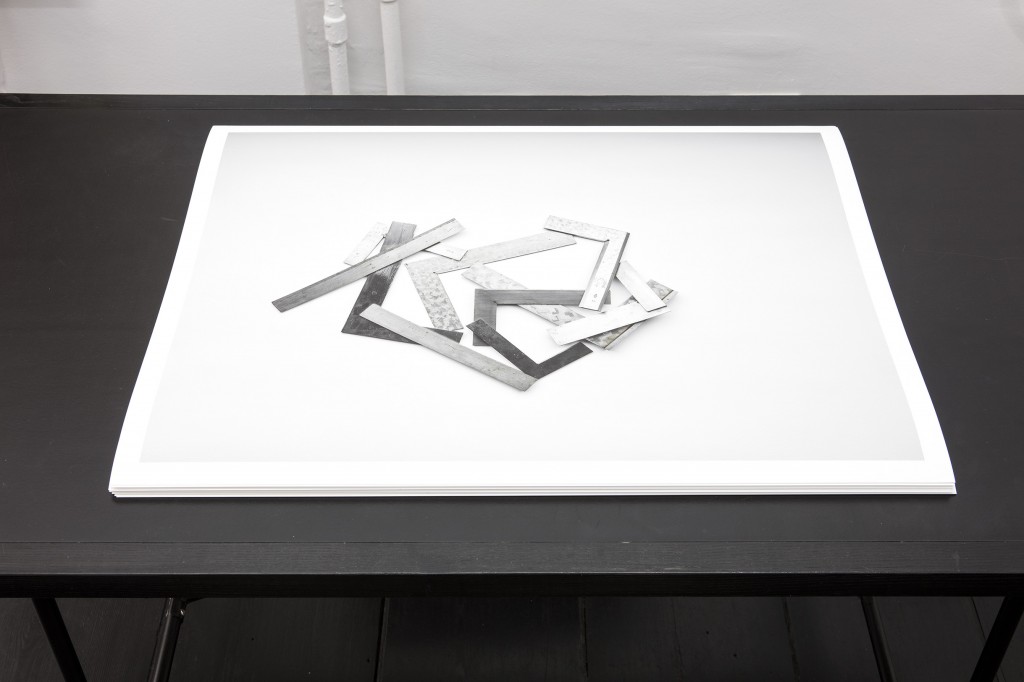 Ibon Aranberri,Intentional elements, 2017, Series of 33 photos, Giclée print, each photograph: 62 x 81.5 cm, Unique, Photo: Thomas Bruns

