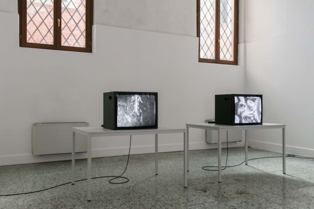 Installation view: James Richards, Music for the Gift, two channel silent digital video, 2017, Wales in Venice, 13.05.17 – 26.11.17 Photo Mark Blower