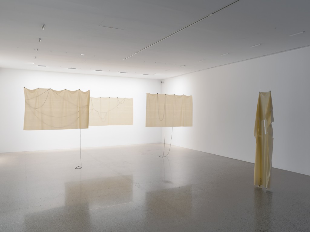 Installation view, Hannah Black, Small Room, mumok, Vienna, 2017