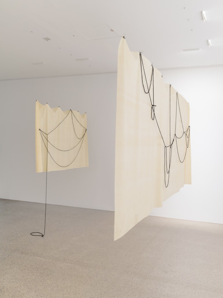 Installation view, Hannah Black, Small Room, mumok, Vienna, 2017